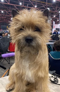 ABF39CA6 8A3B 4827 9059 56917E2CA071