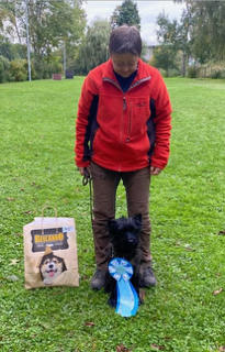 Bildschirmfoto 2026 02 17 um 13.52.20