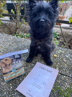 Bildschirmfoto 2026 02 17 um 14.09.22