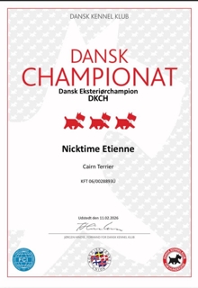 Bildschirmfoto 2026 02 17 um 14.41.09